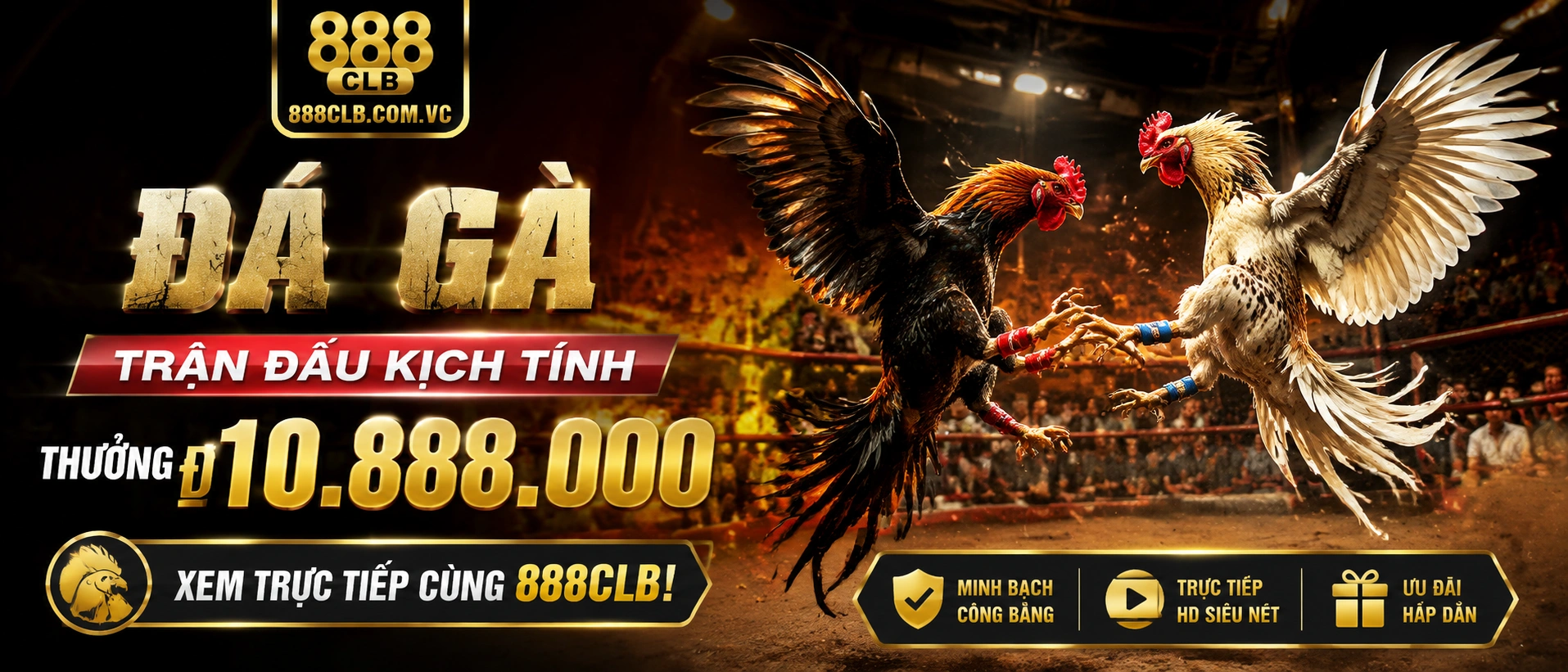 Danh mục Đá Gà Campuchia trên 888clb.com.vc